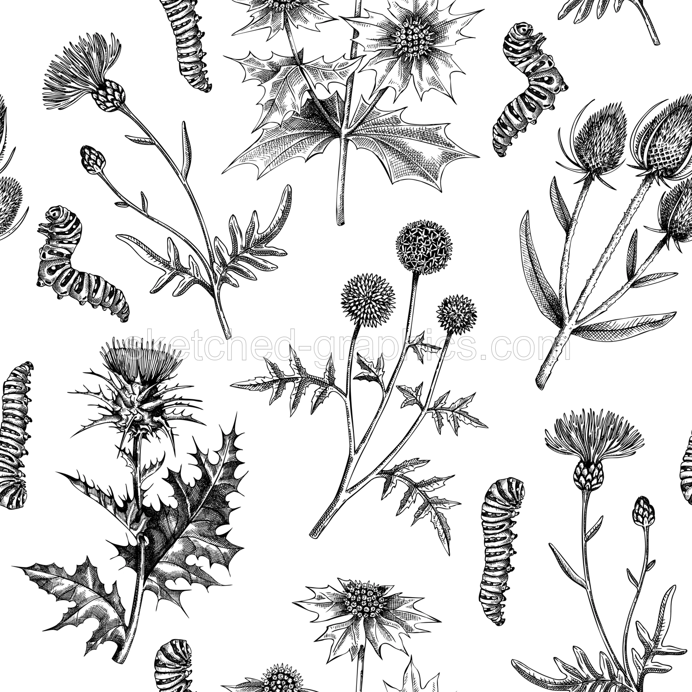Summer background. Decorative thistle plants texture in sketch style. Hand drawn wildflowers seamless pattern. Coast plants drawing floral design for textile, fabric, wrapping paper, packaging  Illustration